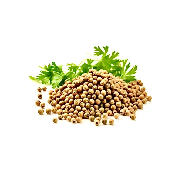ادویه دانه گشنیز ویژه سارینا ماسالا
